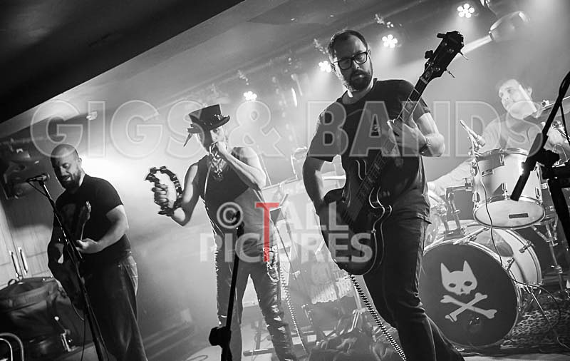 Thee Jenerators-468 - THEE JENERATORS