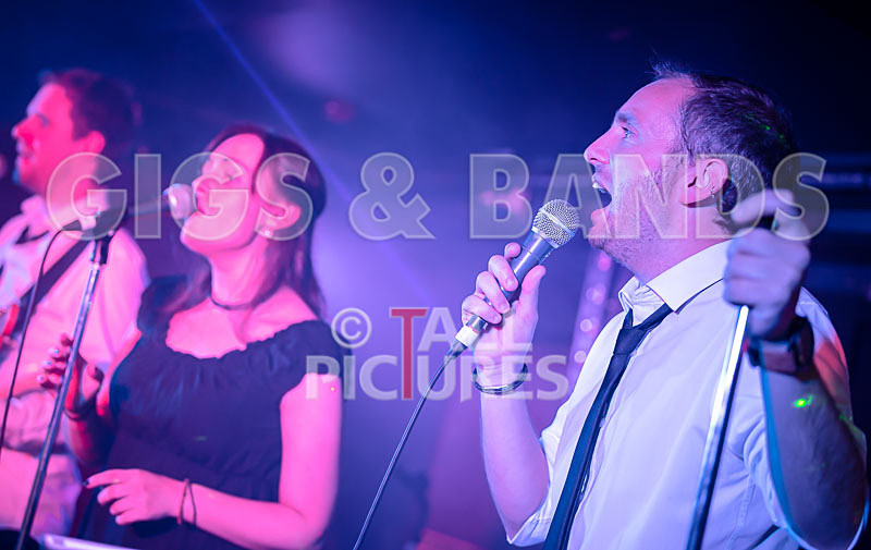 The Erawigs-27 - THE ERAWIGS