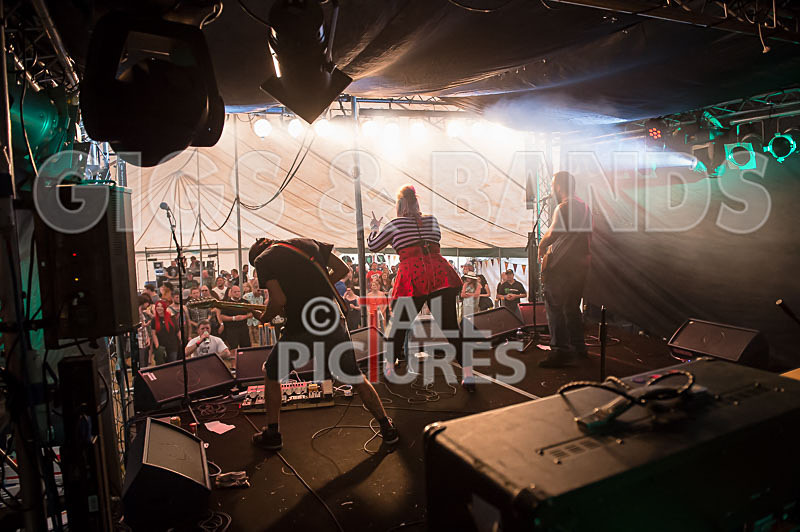 Static Alice-373 - STATIC ALICE