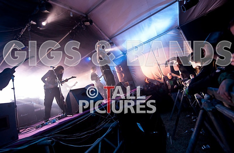 Breed77-31 - BREED77