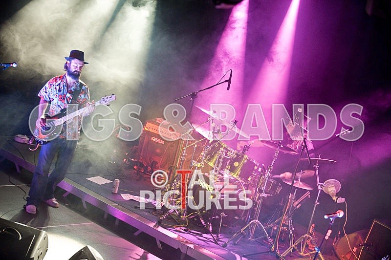 Peppered Ant Legs-20 - PEPPERED ANT LEGS at RoA-3