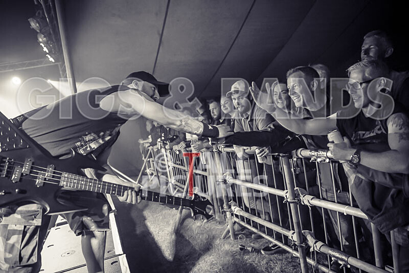 Maiden Guernsey-239 - MAIDEN GUERNSEY