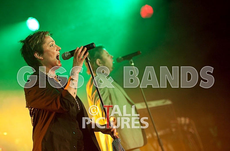 King Rat-81 - KING RAT & THE SOUL CATS