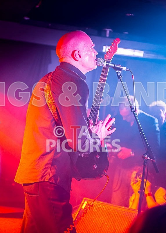 Wilko Johnson Farewell Tour-71 - THE WILKO JOHNSON BAND