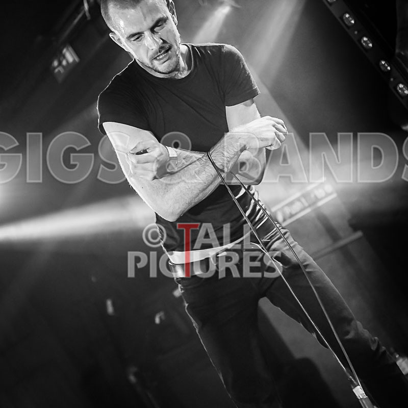 Heymoonshaker-81 - HEYMOONSHAKER