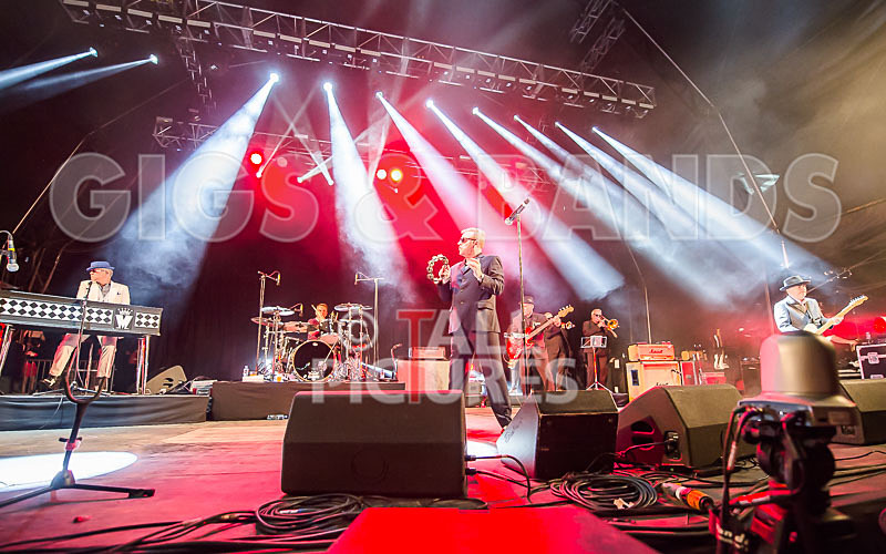 Madness-49 - MADNESS