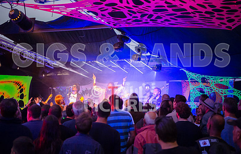 The Recks-799 - THE RECKS