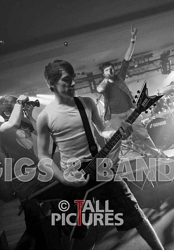 Brutus Stonefist-90 - BRUTUS STONEFIST at RoA-5