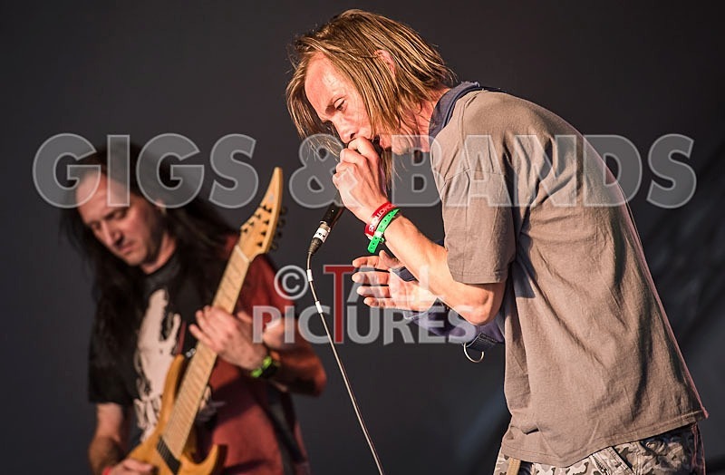 The Spindle Sect-18 - THE SPINDLE SECT