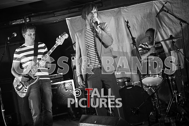 The Cryptics-6 - THE CRYPTICS