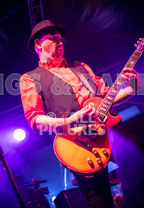 Ruts DC-37 - RUTS DC