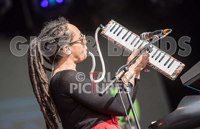 The Skints-30 - THE SKINTS