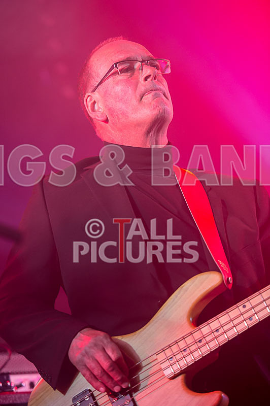 King Rat and the Soul Cats-219 - KING RAT AND THE SOUL CATS