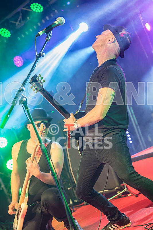 Peppered Ant Legs-238 - PEPPERED ANT LEGS