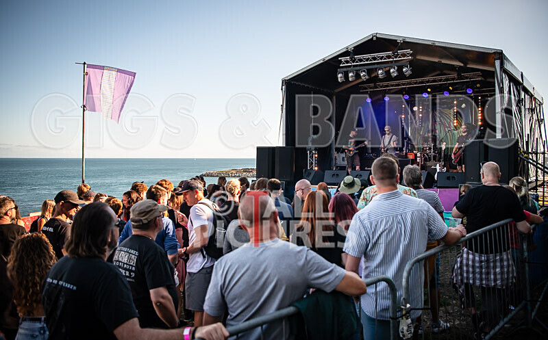 Vale Earth Fair 2020_THE SCENE-71 - VALE EARTH FAIR 2020_THE SCENE