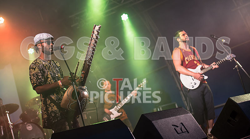 Joe Driscoll Sekou Kouyate-30 - JOE DRISCOLL & SEKOU KOUYATE