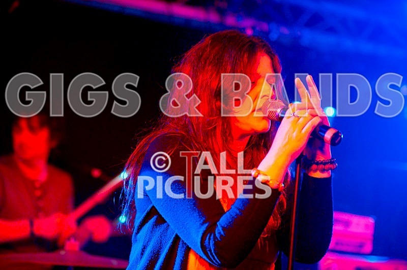 Teaspoonriverneck-260 - TEASPOONRIVERNECK