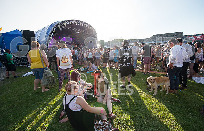 Vale Earth Fair 2017_SCENE-24 - VALE EARTH FAIR 2017_THE SCENE