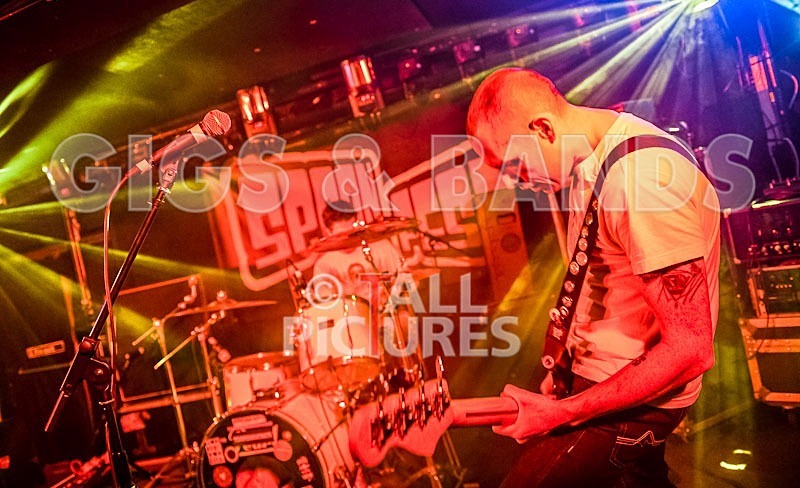 Falenizzahorsepower-86 - FALENIZZAHORSEPOWER