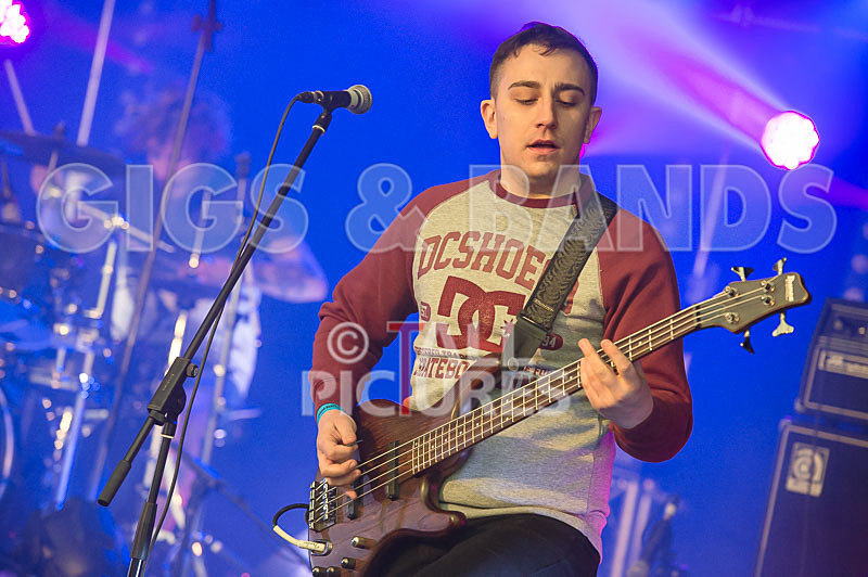 To the Woods-340 - TO THE WOODS