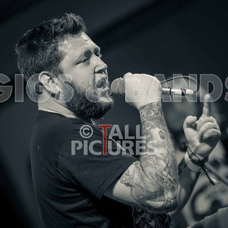 Granite Wolf-48 - GRANITE WOLF