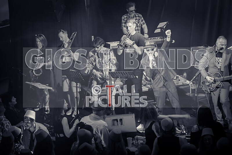 Sons of the Desert-428 - SONS OF THE DESERT