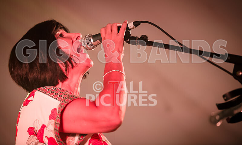 Gig for Colin-39 - CHARITY 'GIG FOR COLIN' 2019