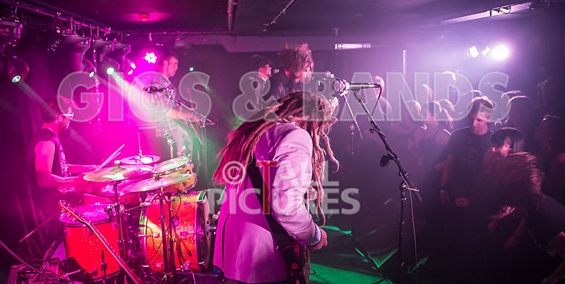 The Recks-220 - THE RECKS