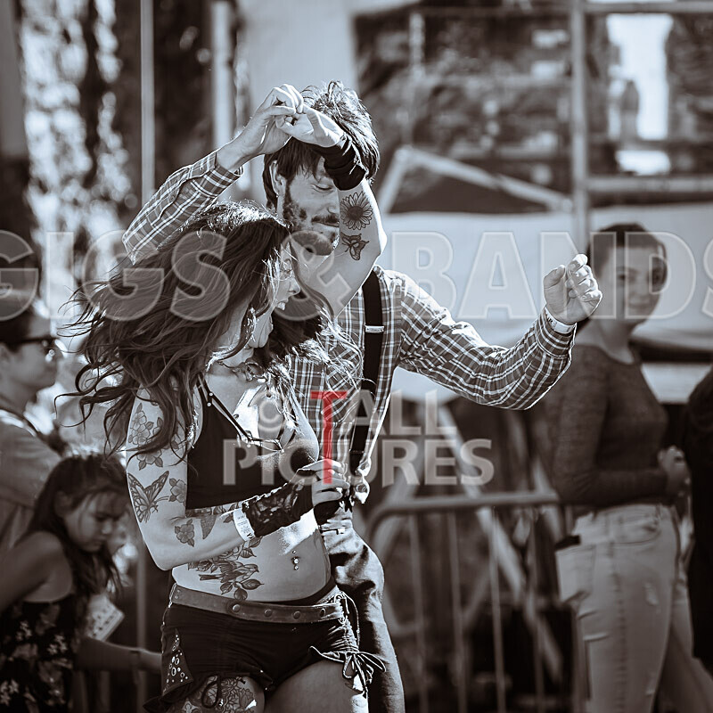 Vale Earth Fair 2020_THE SCENE-58 - VALE EARTH FAIR 2020_THE SCENE