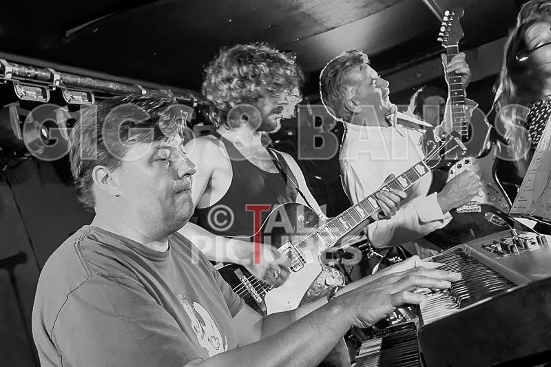 Bill Adlard the Blues Kings-58 - BILL ADLARD & THE BLUES KINGS