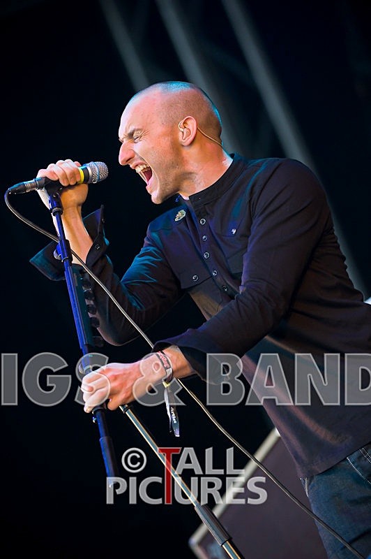 The Music-10 - THE MUSIC