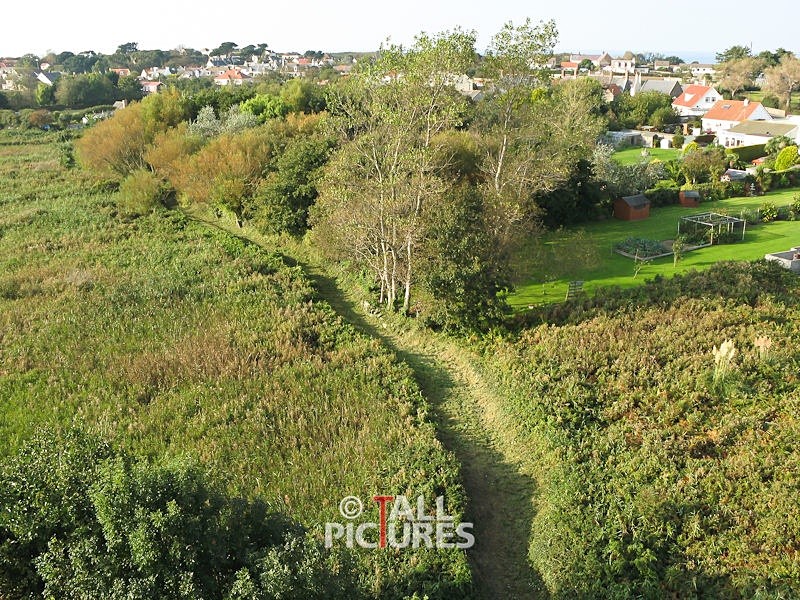 Land Survey-1 - SURVEYS