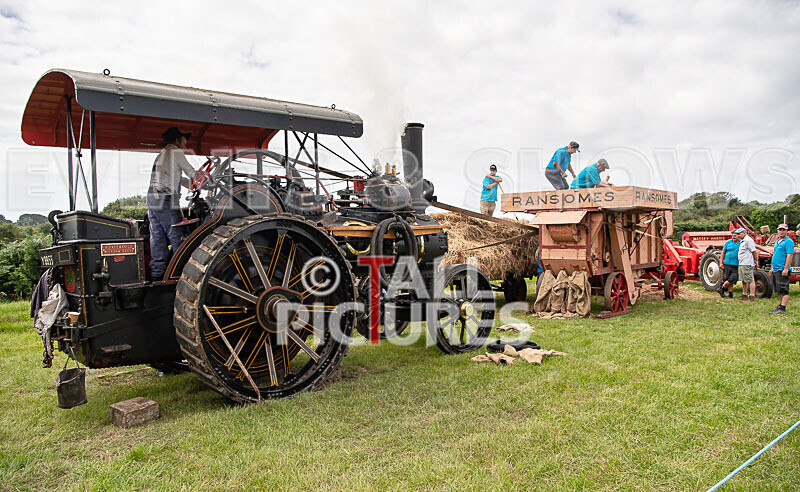 Guernsey Agricultural Show 2021-62 - GUERNSEY AGRICULTURAL SHOW 2021