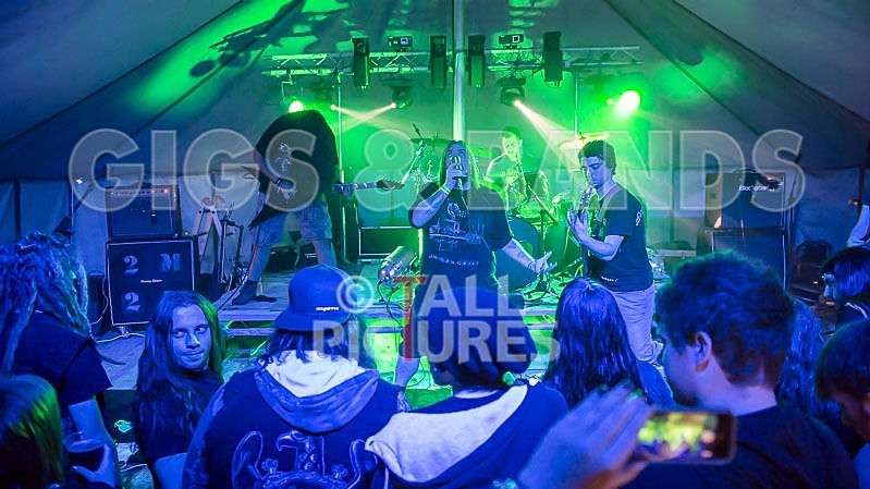 Stone Em All-51 - STONE EM ALL