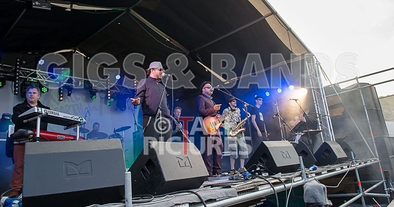 Sons of the Desert-220 - SONS OF THE DESERT