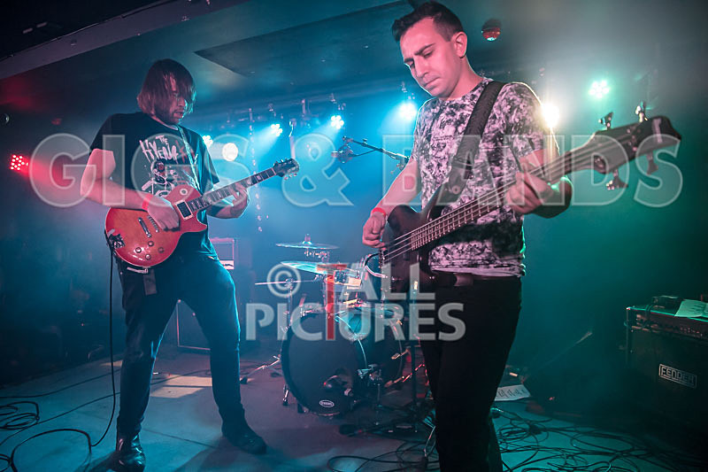 To the Woods-429 - TO THE WOODS