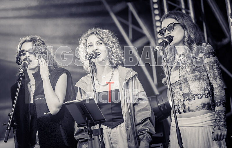 Elysium-347 - ELYSIUM