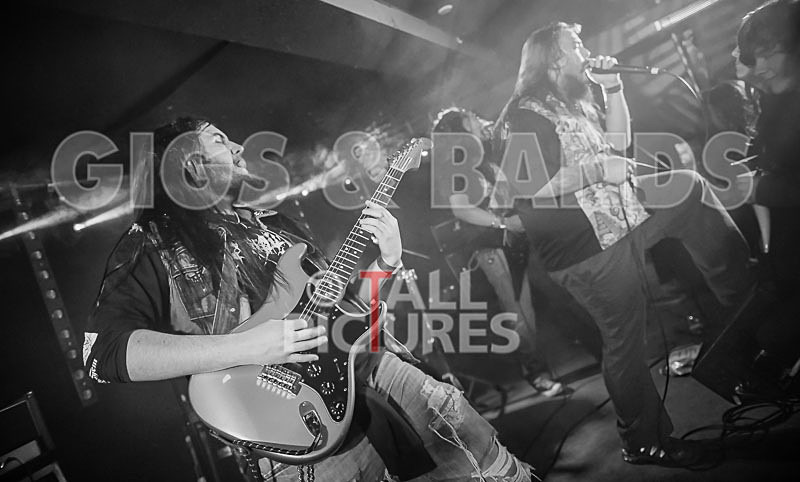 Stone Em All-186 - STONE EM ALL