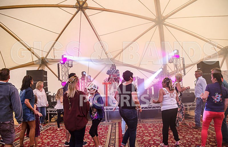 Professor Elemental-5 - PROFESSOR ELEMENTAL