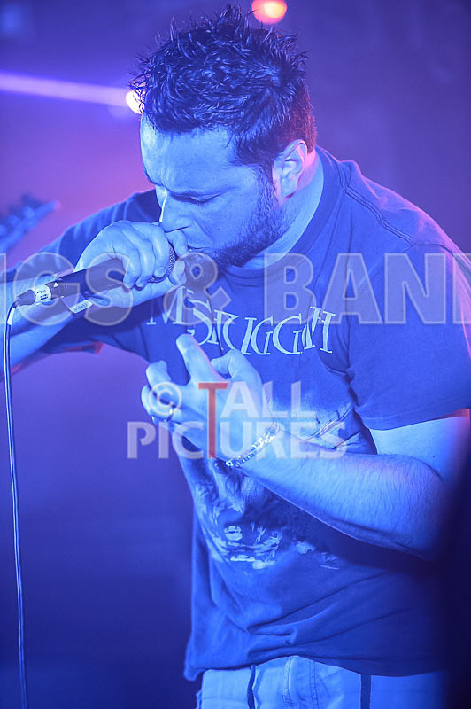 Masticated-3 - MASTICATED