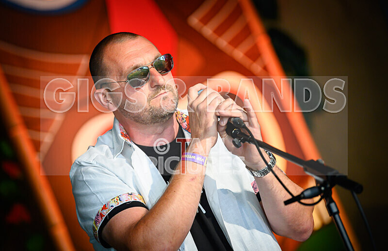 Arctic Donkeys-7 - ARCTIC DONKEYS