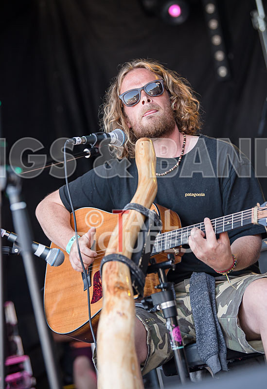 Vale Earth Fair 2017_SCENE-156 - VALE EARTH FAIR 2017_THE SCENE