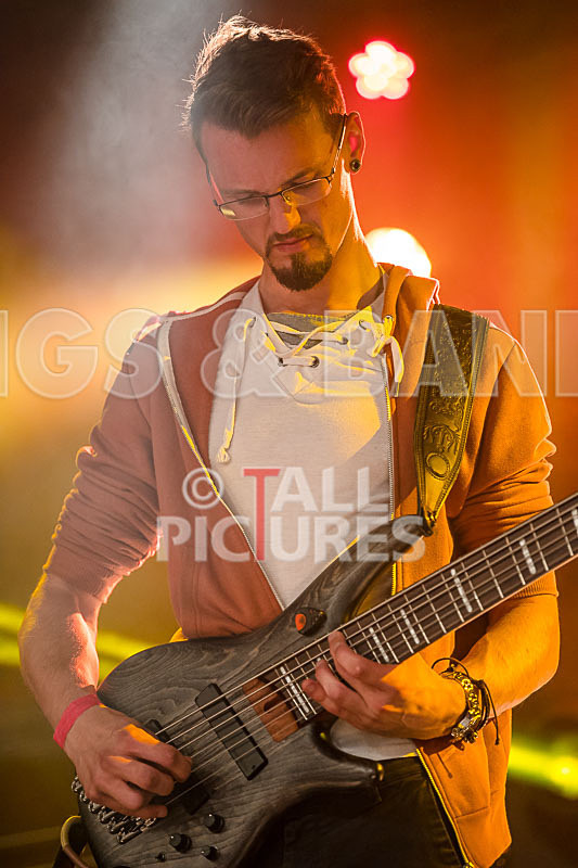 Trilobite-11 - TRILOBITE