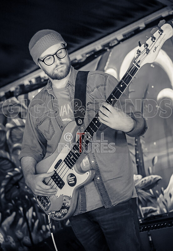 Kiya Ashton and the Folkadelics-7 - KIYA ASHTON AND THE FOLKADELICS