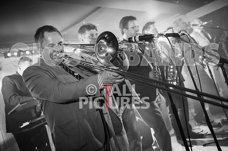 The Pulse-62 - THE PULSE