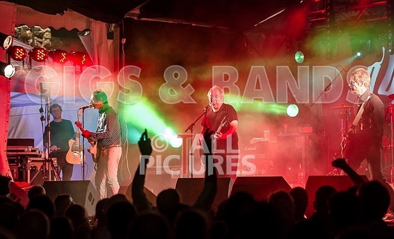 The Buzzcocks-5 - BUZZCOCKS