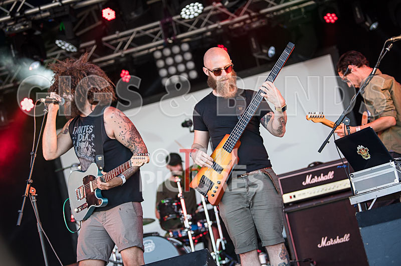 Tree House Fire-24 - TREE HOUSE FIRE