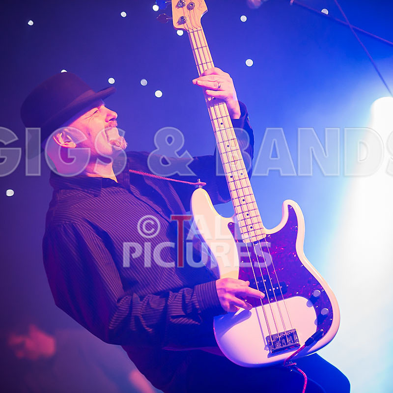 Peppered Ant Legs-158 - PEPPERED ANT LEGS