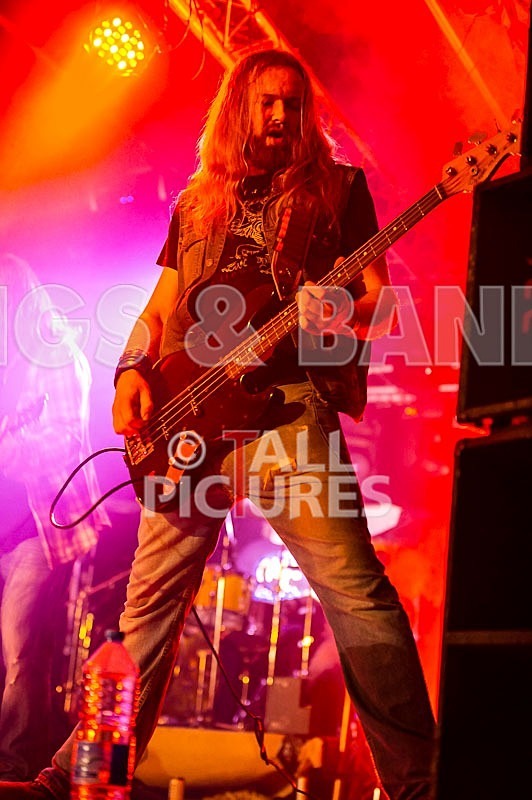 Viking Skull-34 - VIKING SKULL