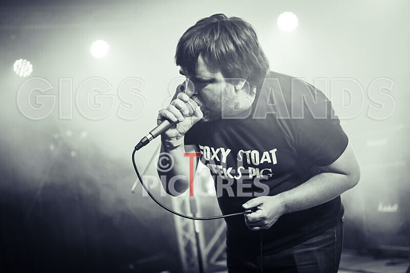 Foxy Stoat Seeks Pig-5 - FOXY STOAT SEEKS PIG